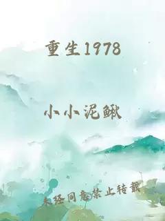 重生1978